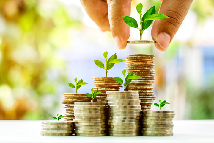 Photo of stacks of coins with plants growing from them