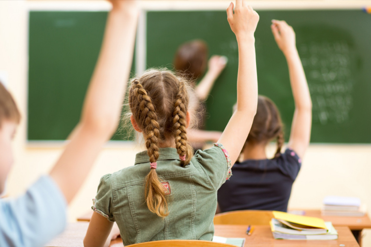 Photo from the back of a row of pupils in a classroom with their hands raised